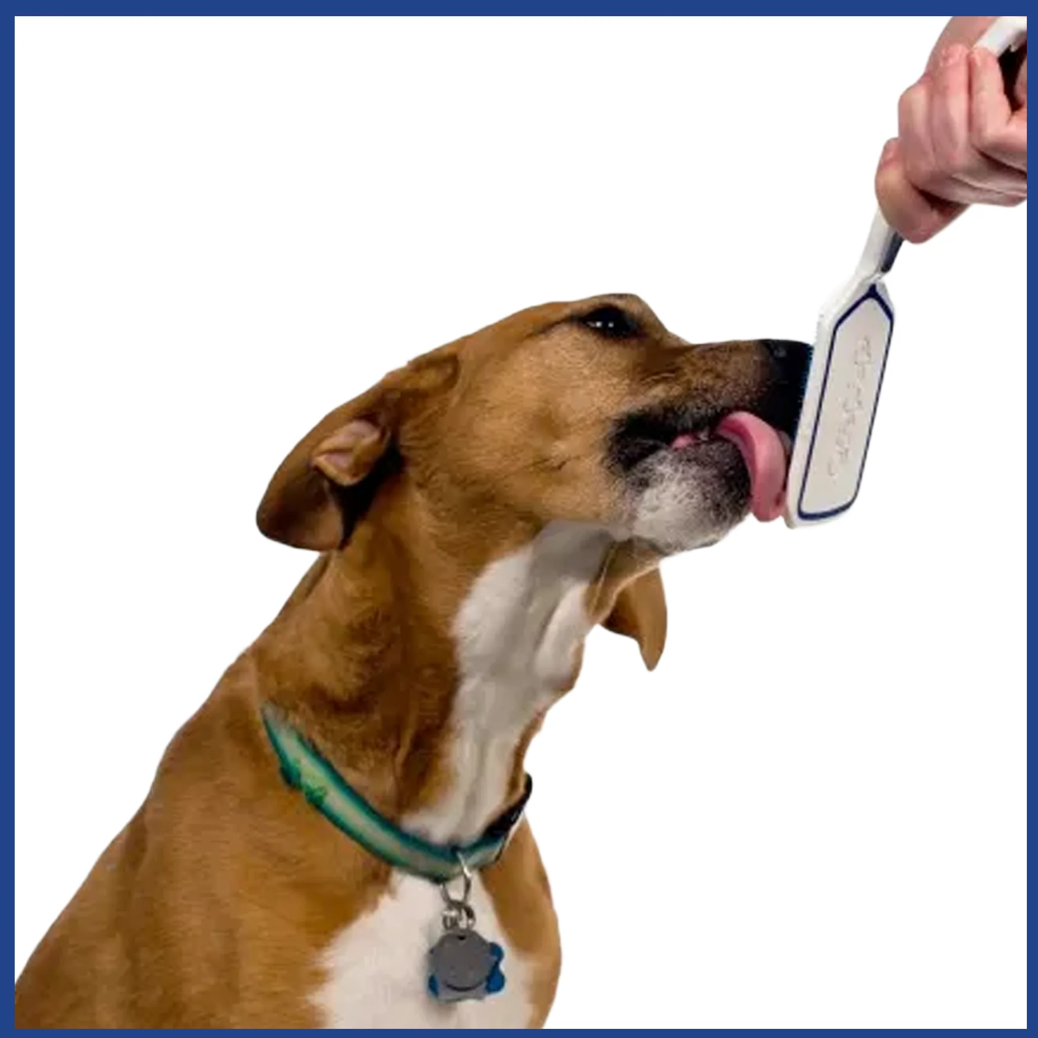 OraPup Dog Tongue Cleaner